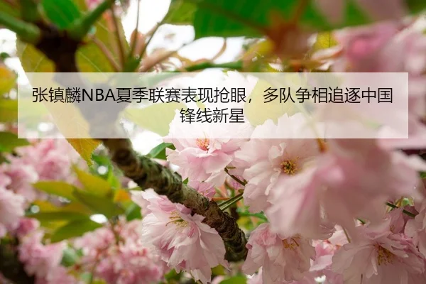 张镇麟NBA夏季联赛表现抢眼，多队争相追逐中国锋线新星