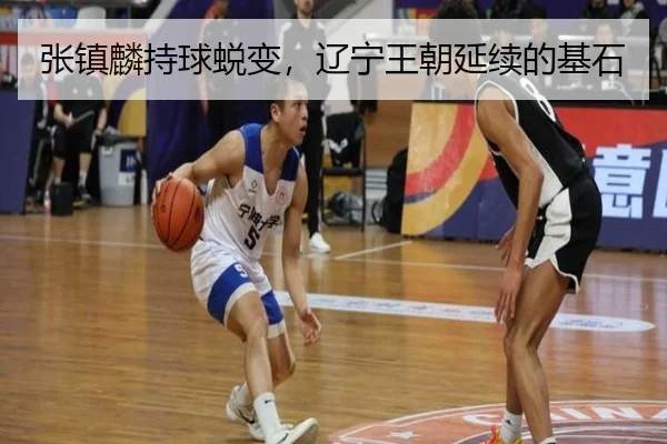 张镇麟持球蜕变，辽宁王朝延续的基石