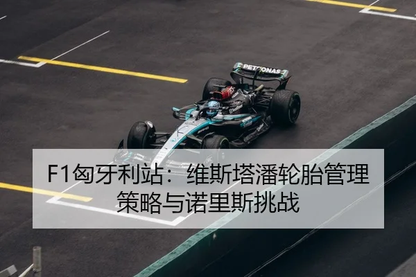 xiong-ya-li-zhan-wei-si-ta-pan-lun-tai-guan-li-ce-lve-yu-nuo-li-si-tiao-zhan-3-685.jpg