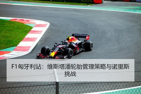 F1匈牙利站：维斯塔潘轮胎管理策略与诺里斯挑战