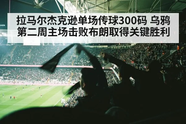 football stadium crowd cheering